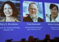 Brunkow, Ramsdell y Sakaguchi ganan Nobel de Medicina 2025 por descubrimientos sobre sistema inmunitario