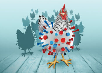 Gripe aviar H5 podría causar una pandemia peor que el Covid-19, advierten