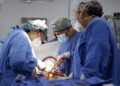Mayoría de trasplantes de órganos se realizan en hospitales públicos: Ssa