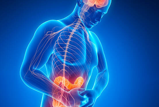 El parkinson podría iniciar en el intestino, no en el cerebro