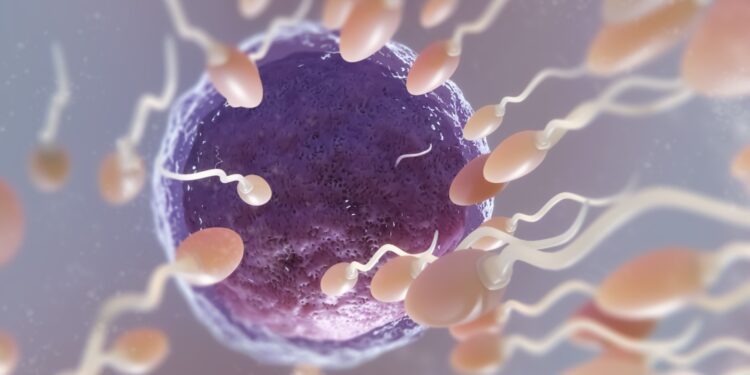 La nueva era de la fertilidad: dos décadas de avances científicos en México. El arte de disfrutar con estilo y sentido.