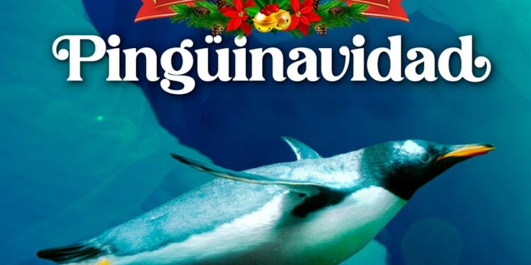 ¡Esta Navidad, tus sonrisas valen el doble en Acuario Inbursa!