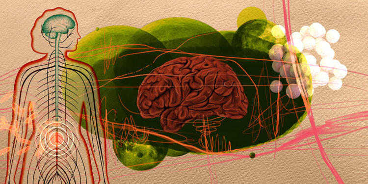 El parkinson podría iniciar en el intestino, no en el cerebro