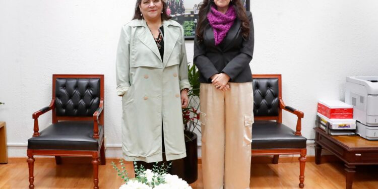 El INE tiene las puertas abiertas de la Cámara de Diputados: Kenia López Rabadán