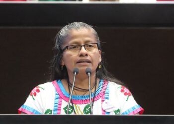 Proponen expedir Ley General de Bienestar, Cuidado, Conservación, Preservación y Protección de los Animales