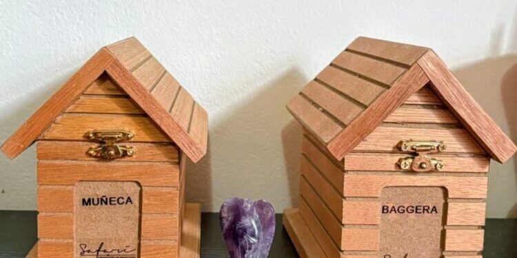 Seguro para mascotas al alza: ¿Vale la pena contratalos? (Video)