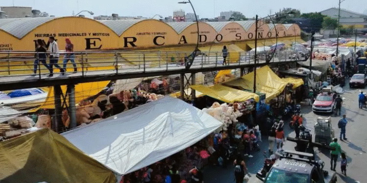 Reforzarán vigilancia en el Mercado de Sonora para evitar venta ilegal de animales