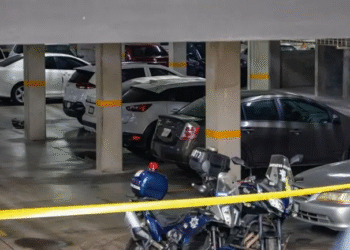 Reporta Sheinbaum caída histórica de 40% en homicidios dolosos al cierre de 2025