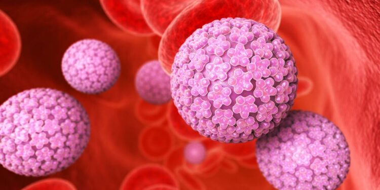 VPH en México: 8 de cada 10 personas se infectarán en algún momento de su vida