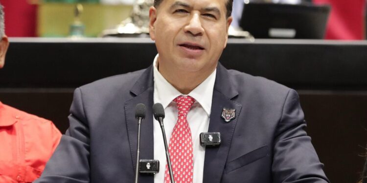 Plantean que proveedores de bienes y servicios absorban el costo de bolsas de acarreo u otros medios de empaque