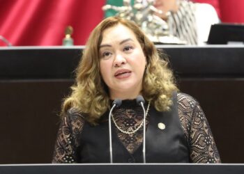 Piden incorporar en la Ley General de los Derechos de Niñas, Niños y Adolescentes que menores de edad deberán estar protegidos contra violencia vicaria