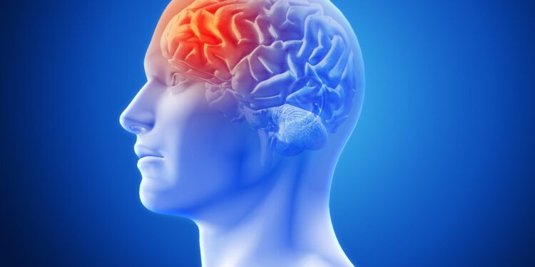 Epilepsia: cómo reconocer una crisis y por qué actuar a tiempo puede cambiar una vida