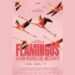 En el Día Mundial de la Naturaleza se anuncia el estreno del documental Flamingos: la vida después del meteorito
