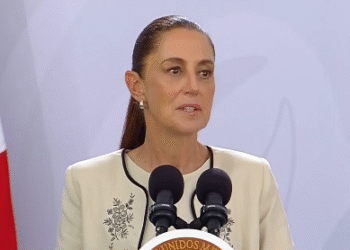 Sheinbaum admite que necesita al PVEM y al PT para avanzar con el “Plan B” de la reforma electoral