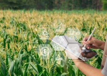 Bioenergía y sistemas de gestión: una palanca para el crecimiento sostenible del agro en México