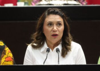 Busca iniciativa definir a los animales vivos como seres sintientes capaces de experimentar dolor, placer, miedo y estrés
