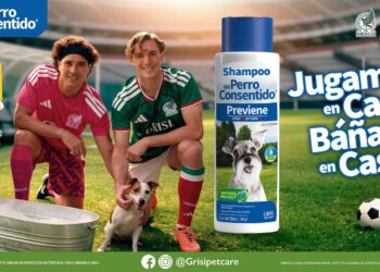«Jugamos en casa, báñalo en casa», la campaña Del Perro Consentido que conecta la pasión futbolera con el bienestar de las mascotas