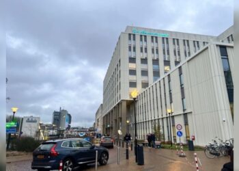 Brote de hantavirus: van a cuarentena 12 trabajadores de hospital en Países Bajos por potencial contagio
