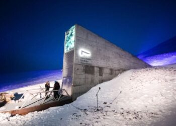 El Banco Mundial de Semillas de Svalbard gana el Princesa de Asturias de Cooperación Internacional