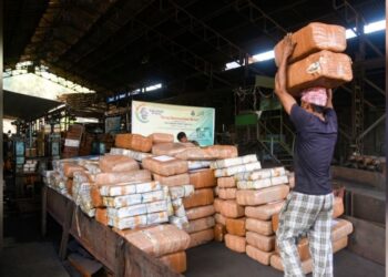 Interpol incauta más de 3 mil armas y 56 toneladas de droga en México, Colombia y 17 países de Latinoamérica