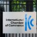 Día Mundial del Medio Ambiente: ICC México llama a acelerar la acción climática y la protección de los recursos naturales