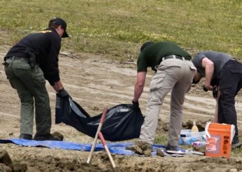 «Una escena terrorífica»: hallan restos de más de 100 perros en refugio de California