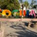 Cocula, Jalisco: El escenario que dio vida al Mariachi