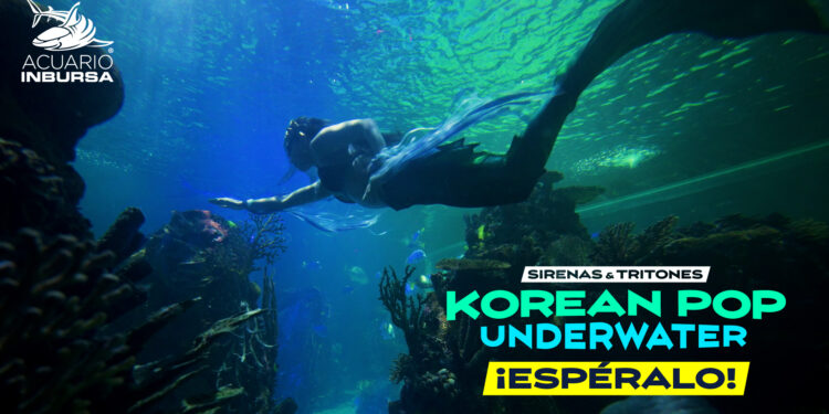 Sirenas y tritones con temática K-pop llegarán al Acuario Inbursa este 4 y 5 de julio