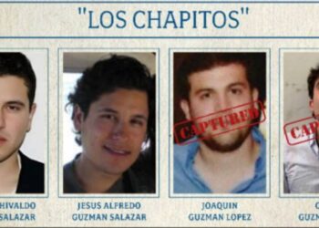Sheinbaum acusa a EU de brindarle protección al Cártel de Sinaloa pese a designarlo como organización terrorista
