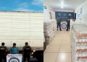 Aseguran en Sonora tres toneladas de metanfetamina ocultas entre costales de alimento para ganado