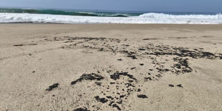 Nuevo derrame de hidrocarburo afecta cuatro playas de Salina Cruz, Oaxaca, en plena temporada vacacional