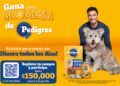 PEDIGREE® y Carlos Rivera premian el cuidado de tu perrito con su campaña más grande del año