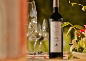 Casa Madero 3V 2023, reconocido como el Mejor Vino Mexicano en Francia