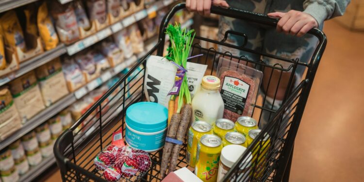 Regular por ciencia, no por procesamiento: el llamado de la industria de alimentos y bebidas de Latinoamérica