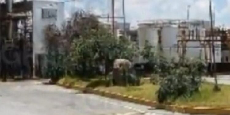 Desmantela FGR 4 centros de combustible ilegal en Hidalgo, Morelos y SLP