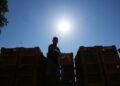 La ola de calor obliga a productores de vino espumoso en Italia a hacer vendimias tempranas y nocturnas