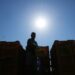 La ola de calor obliga a productores de vino espumoso en Italia a hacer vendimias tempranas y nocturnas