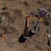 Buscadoras de Sonora encuentran una fosa con restos óseos y más de 50 casquillos percutidos