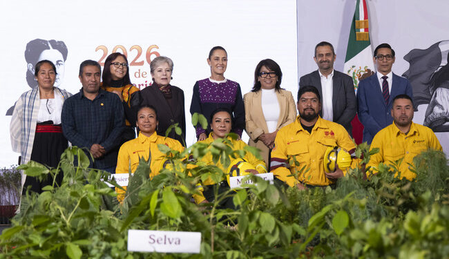 Sheinbaum presenta cruzada ambiental para plantar 6.6 millones de árboles en todo el país