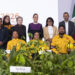Sheinbaum presenta cruzada ambiental para plantar 6.6 millones de árboles en todo el país