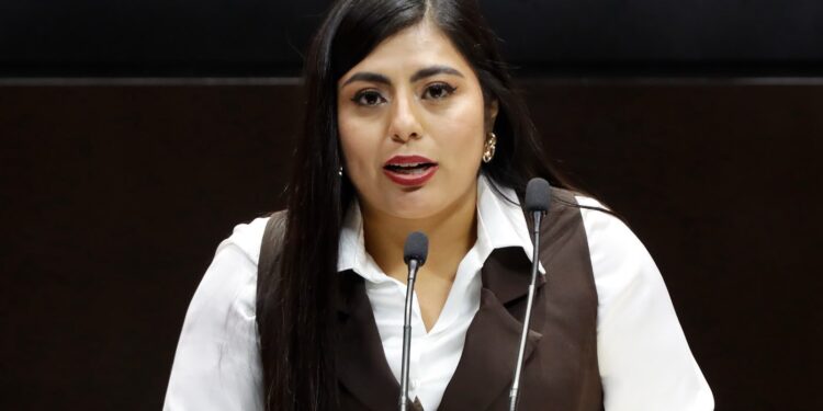 Proponen que IMJUVE impulse programas sobre salud mental y prevención del suicidio entre la juventud