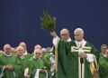 El papa condena desde Lourdes que se eliminen vidas “por falsa compasión”