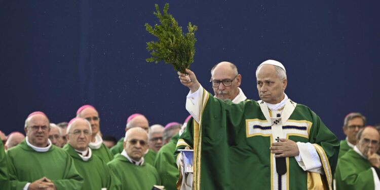 El papa condena desde Lourdes que se eliminen vidas “por falsa compasión”