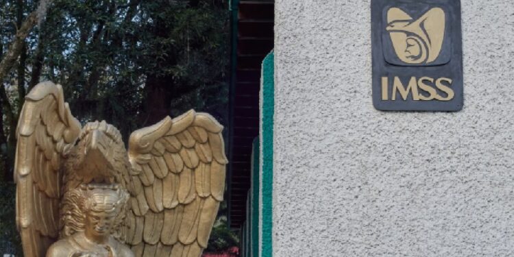IMSS niega «carencias» en hospital de Durango donde murieron cinco bebés y Cofepris investiga; padres de los neonatos acusan opacidad