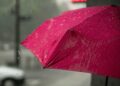 Alertan que El Niño se intensificará hasta ser “muy fuerte”; piden prevención