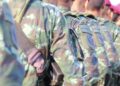 Borrador automático