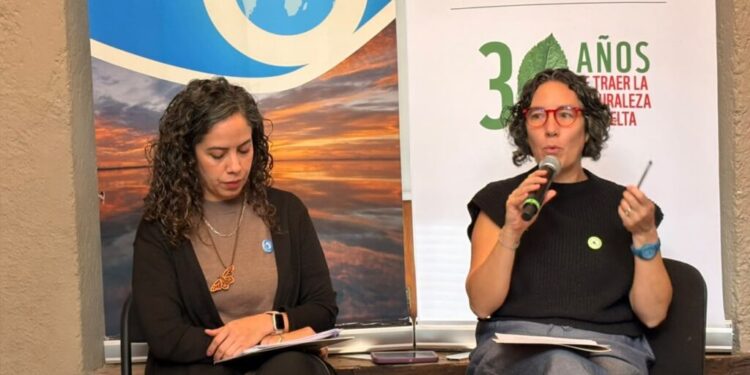 Presenta WWF su Informe Planeta Vivo, advierten descenso del 73% de fauna silvestre