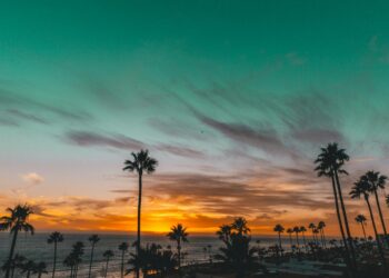 FICCLosCabos anunció los 15 documentales seleccionados de su plataforma de apoyo a la industria con visión local,  La Baja Inspira 2026